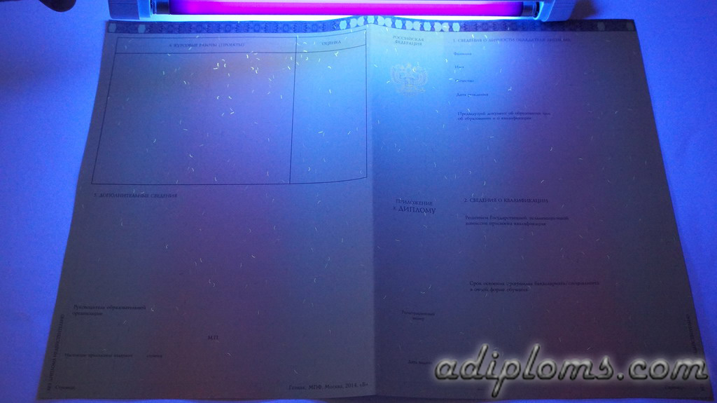 Диплом специалиста 2014-2026 Фото